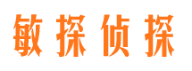 白沙市侦探调查公司